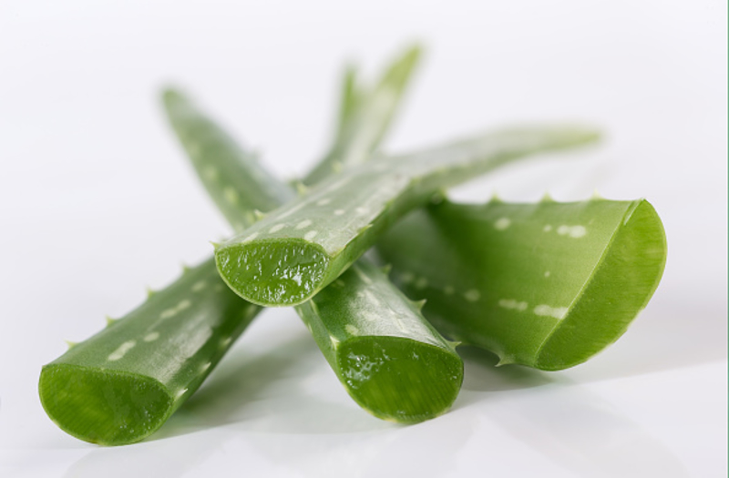 All You Need to Know About Aloe Vera | Getty Images